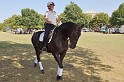 Polizeidirektion   162